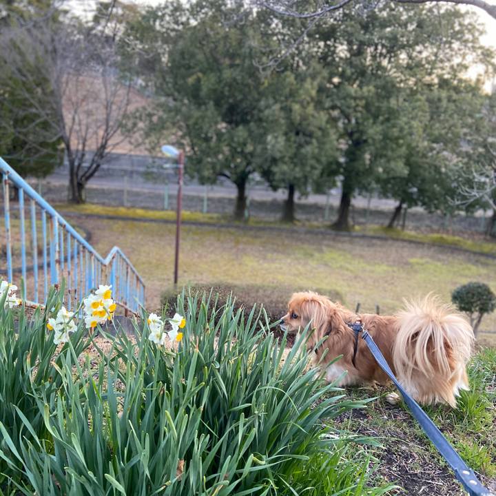 469b40f0 0d2c 4df6 9558 32e1dac64e65 1582755131590