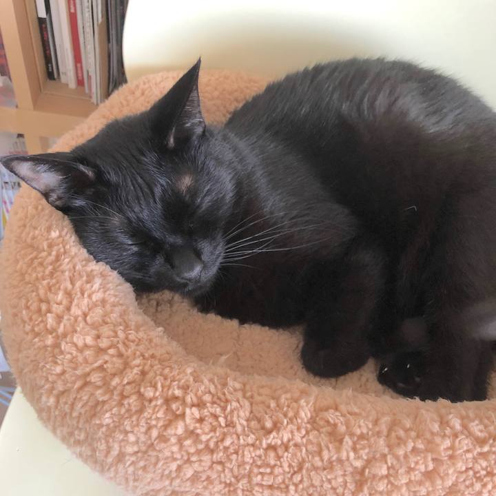 469b4776 4ae4 4a57 9f66 a7cd64ecbce0 1525052319547