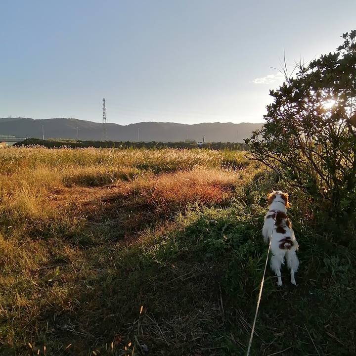 469b5184 5a06 4eca b26b cb4698bc1549 1604981724863