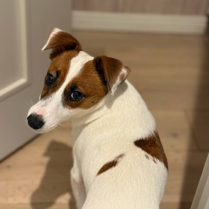 469b598b fc6c 431e 8c19 f00675b0aaee 1752281646161