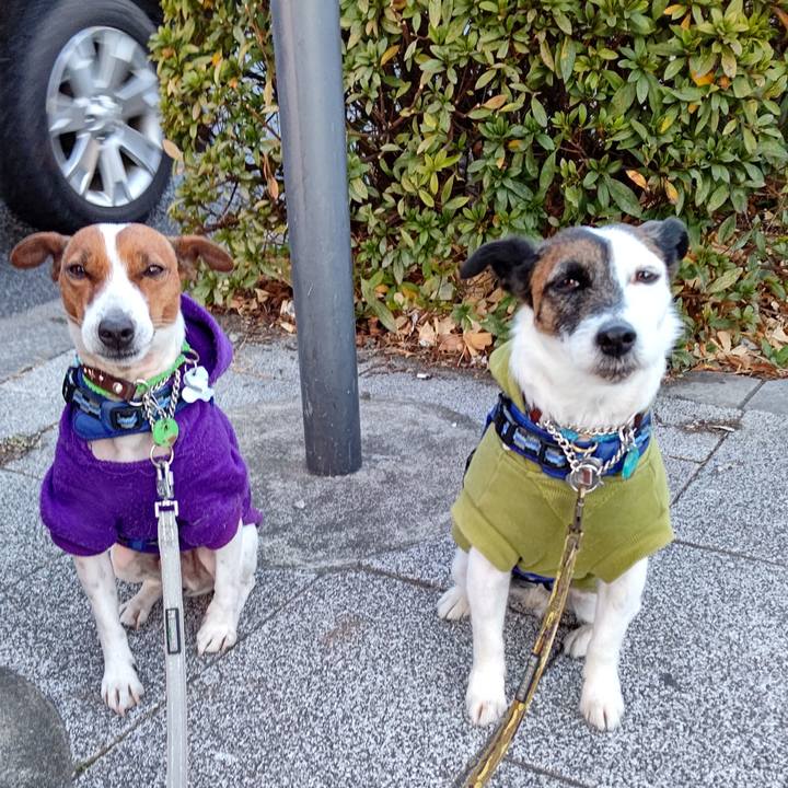 469b6195 ef54 443b b7f2 01fb21272794 1643580874067