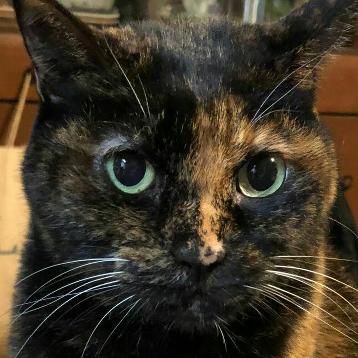 469b6e40 3b55 470b a678 983e2ecf411e 1604717580332