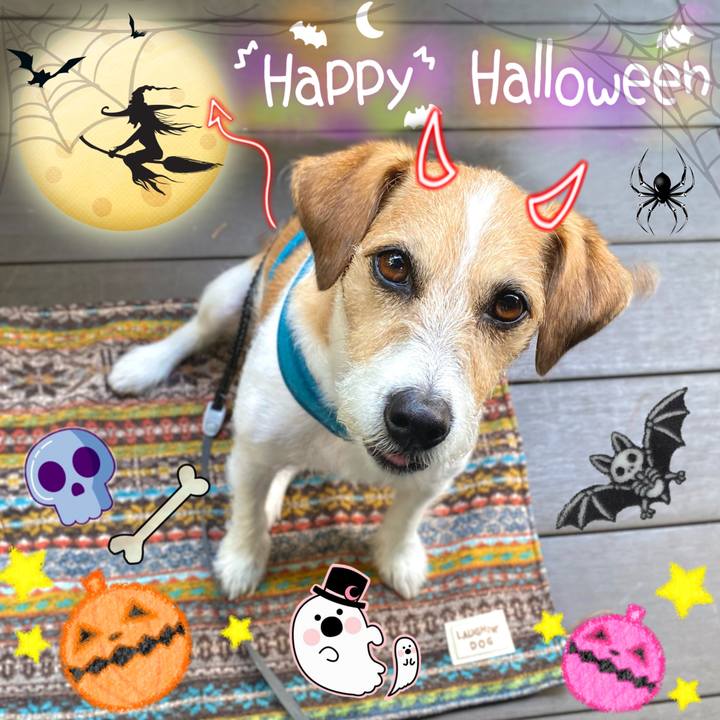 469b75a5 0e22 4477 834e 95836a5faa74 1667220998218