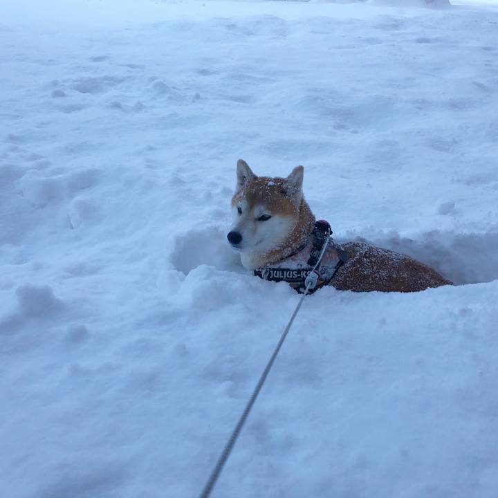 469b7e82 7c16 48c1 b0f5 dda184f0a23e 1580948184176