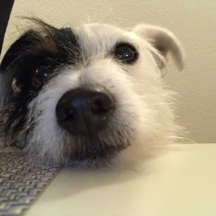 469ba62f 88fd 41f2 a1ac 441200d0f334 1514283939415