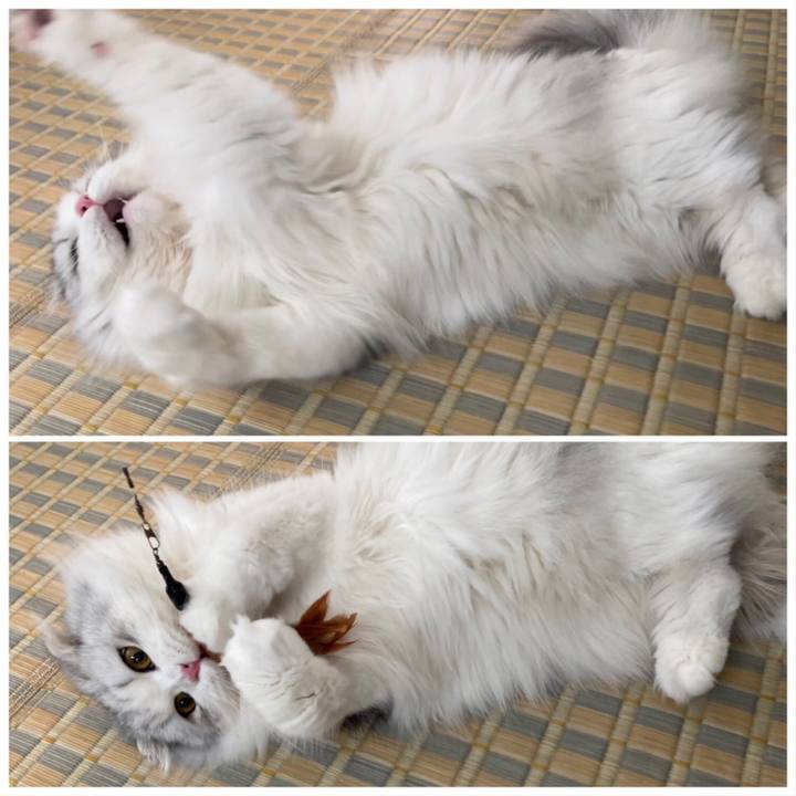 469bb0e0 e9e8 4c40 b718 1d0ed8f1b4fc 1628813411809