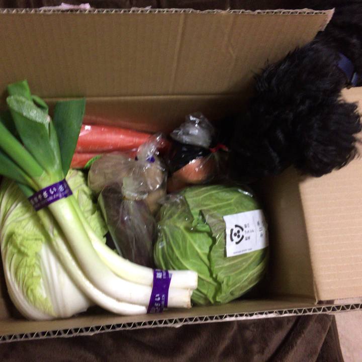 469bb71b 2d51 4fec a050 af28e6e4c5ea 1513141740275