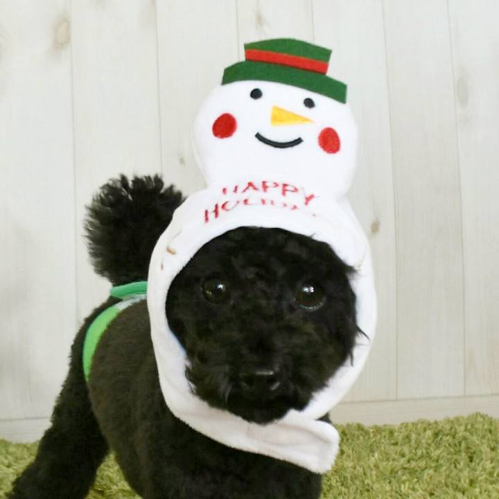 469bf11f 2f74 4fb5 9640 0107cc489918 1512395550467