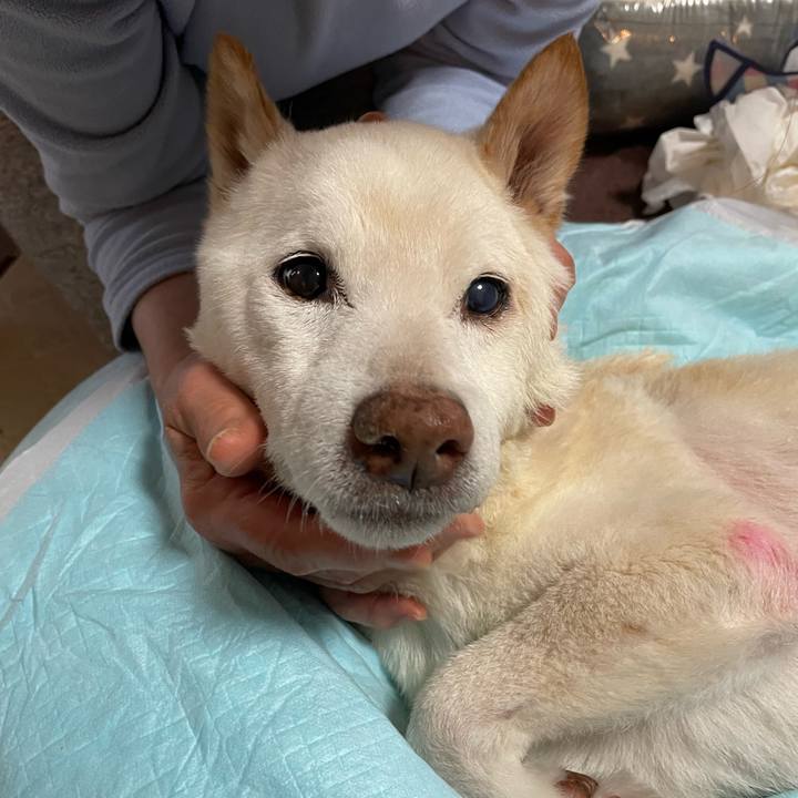 469c8634 e814 4b25 a55a 8068829dc1ba 1673848800289