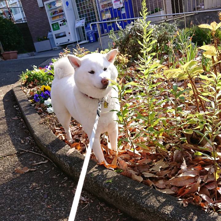 469cd5de acbe 42dc 9d04 185eb0613d13 1577753541219