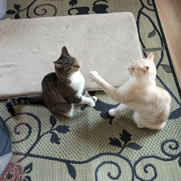 469cfdd9 90d8 4e0d b171 e1302567eb69 1687563718426