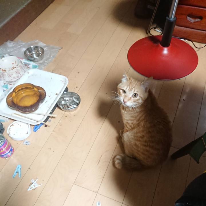 469d5545 637d 4a9e ac6b 3a66cd73bdb0 1636922010937