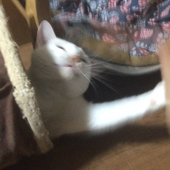 469d57b0 23fd 45be 990e 60215ca487c7 1630377765591