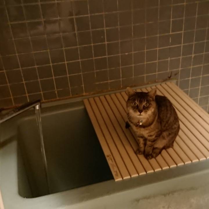 469da6af 99ae 41fc 901f c4762108776c 1574672444706