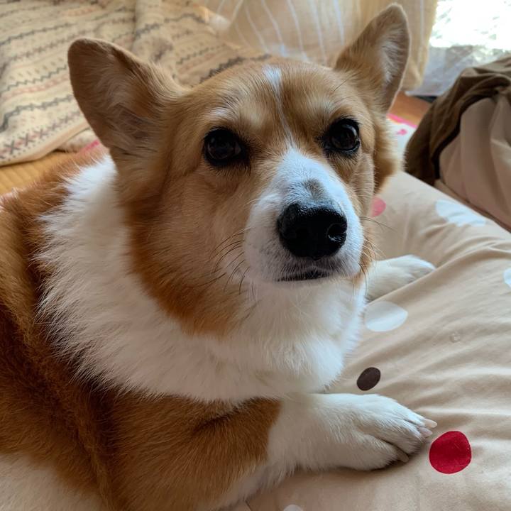 469db517 5ef5 4b9d a247 f99a9c99ced8 1615685622156