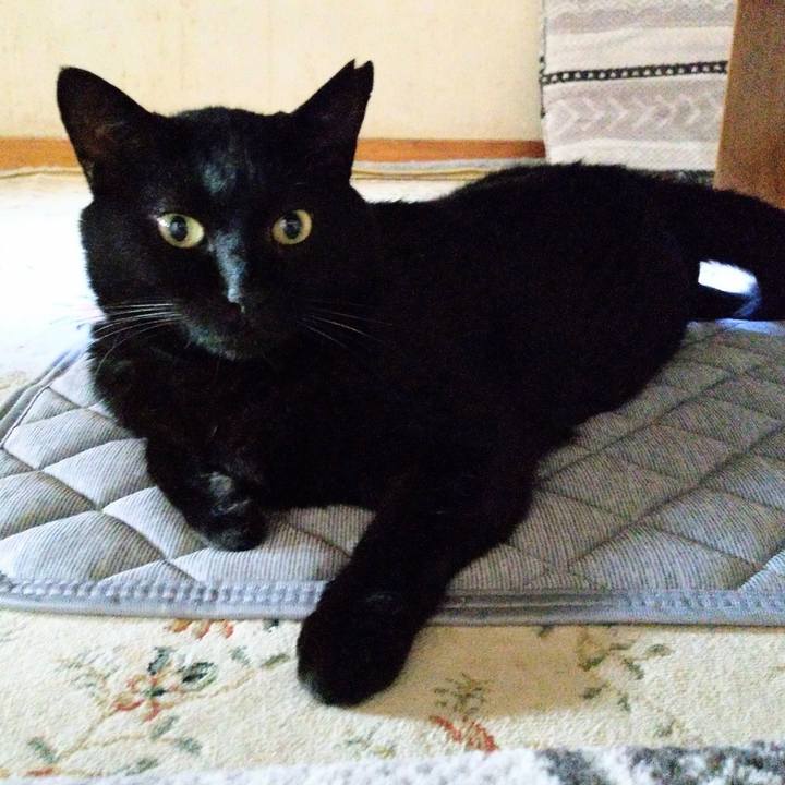 469e463e 376b 4879 a690 5ed78f3dd317 1626737385741