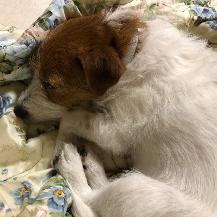 469e6ae8 a138 4728 97c3 f1247e6d2f50 1561903713592