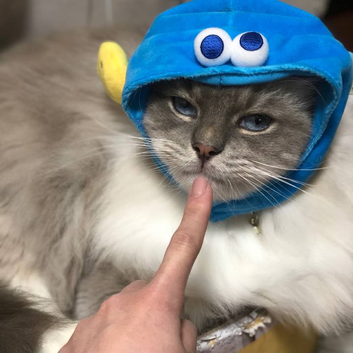 469e8d04 5839 4e62 8b5a a2737d256d2e 1545660930084