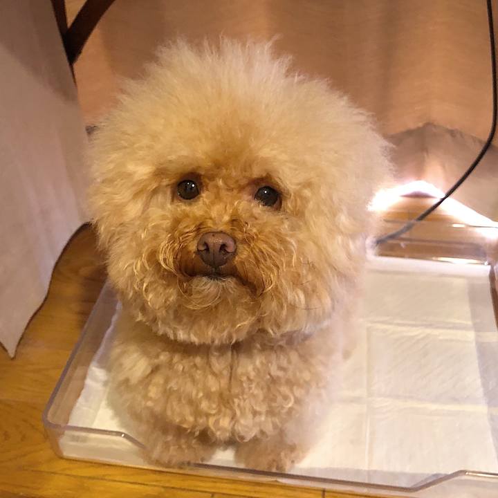 469eb317 9586 434a a6e9 5a1aee0c8a98 1535948869874