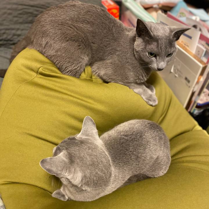 469ef652 7525 4f64 8582 cfecba83a0d9 1681082798700