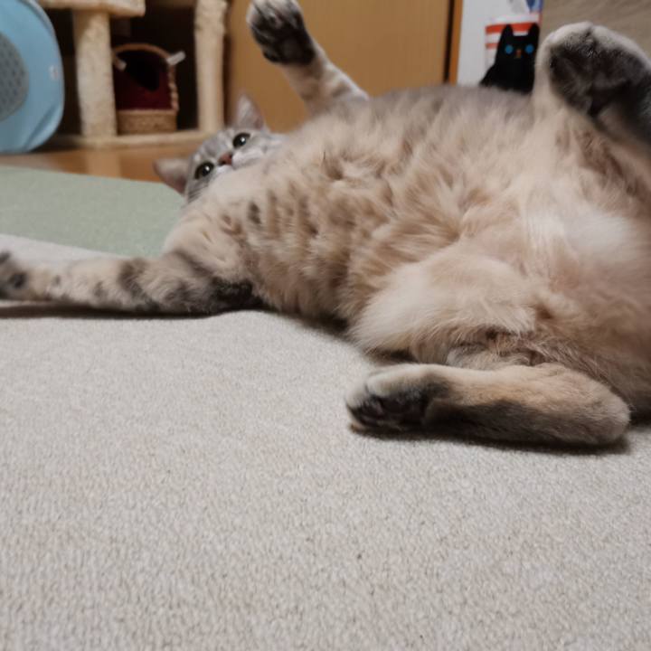 469f1de7 3111 4bdd b294 5057d48dceb8 1613832401163