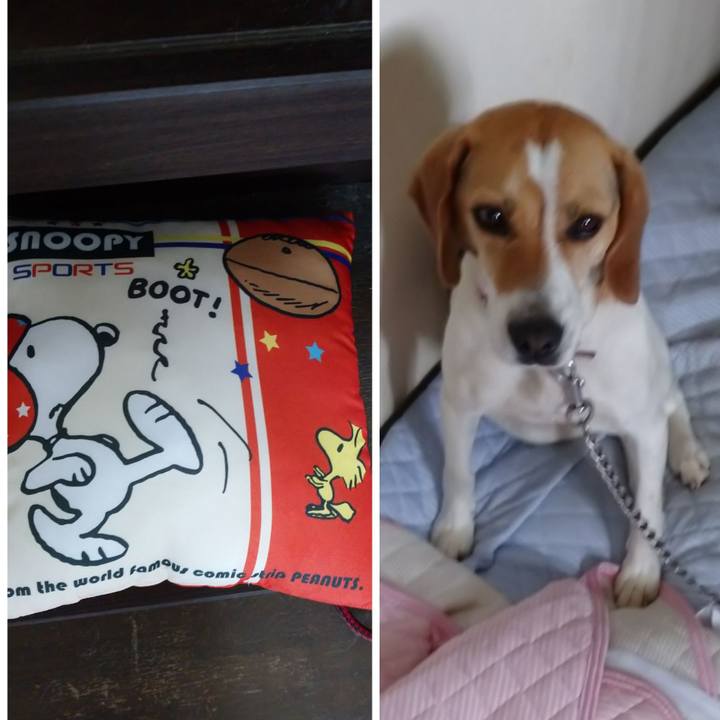 469f93c7 9c30 4aff 8b8c 953f44b9d4ba 1592711177851