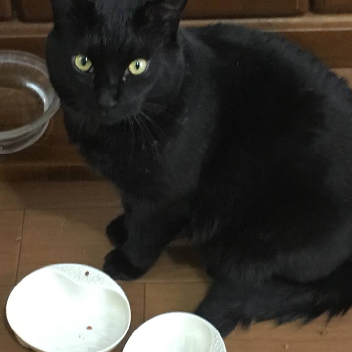 469f940a 53a3 4425 8bac 44db0e080bfb 1510975629912