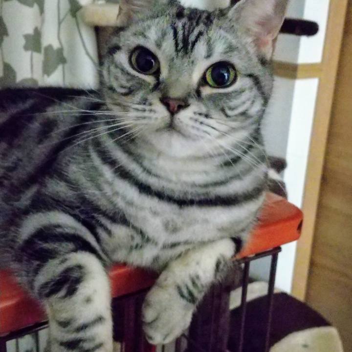 469f9d88 cd64 4b9c a38f 39ecf77009b7 1707558422090