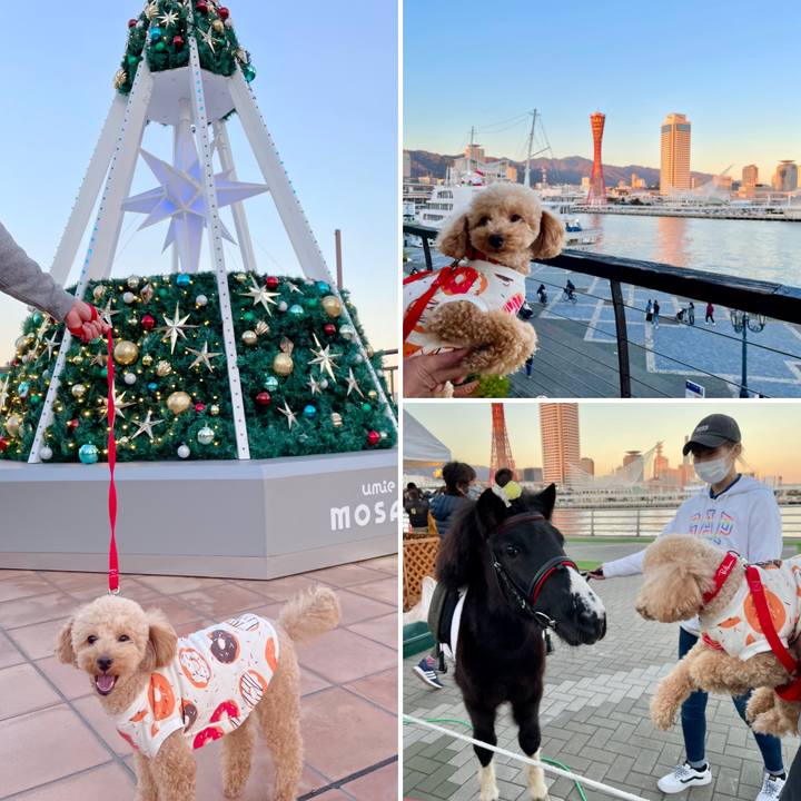 469fb5f1 48b4 4ba9 a522 910ab555c039 1607263295152