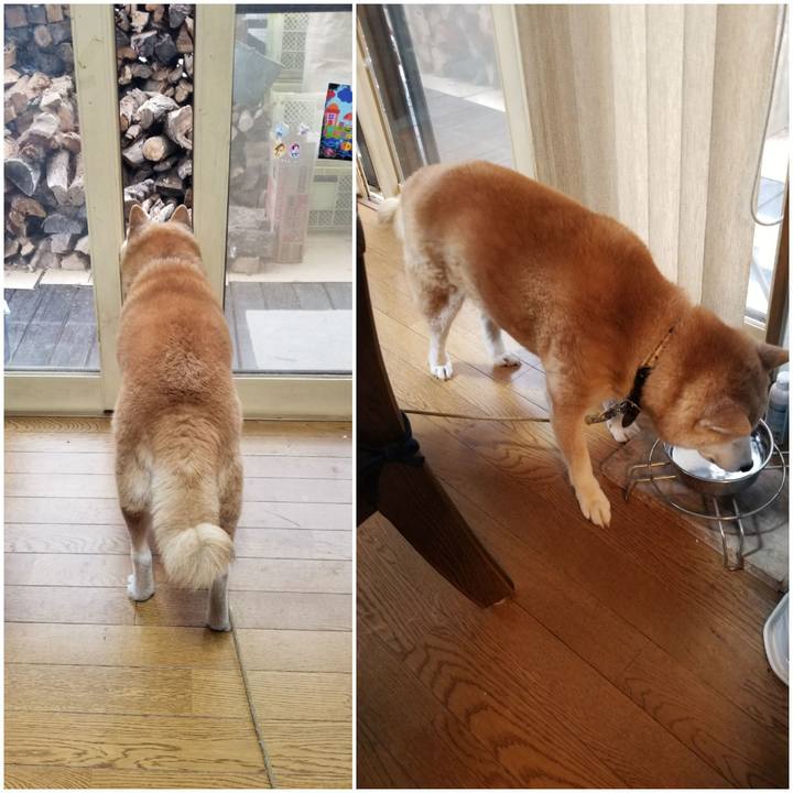 469fbc84 c0da 4cea b3b4 d61e13d16a0c 1699398146214