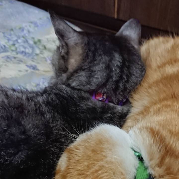 469fc249 7cf4 4a11 a4b4 73641dca7b11 1582722136653