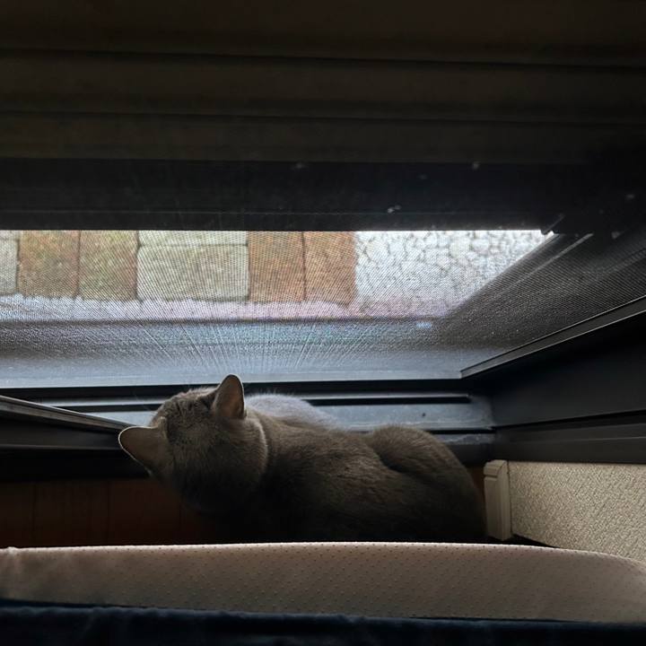 469fe80a 0901 4b23 9629 ca094c4f22d4 1698015230003