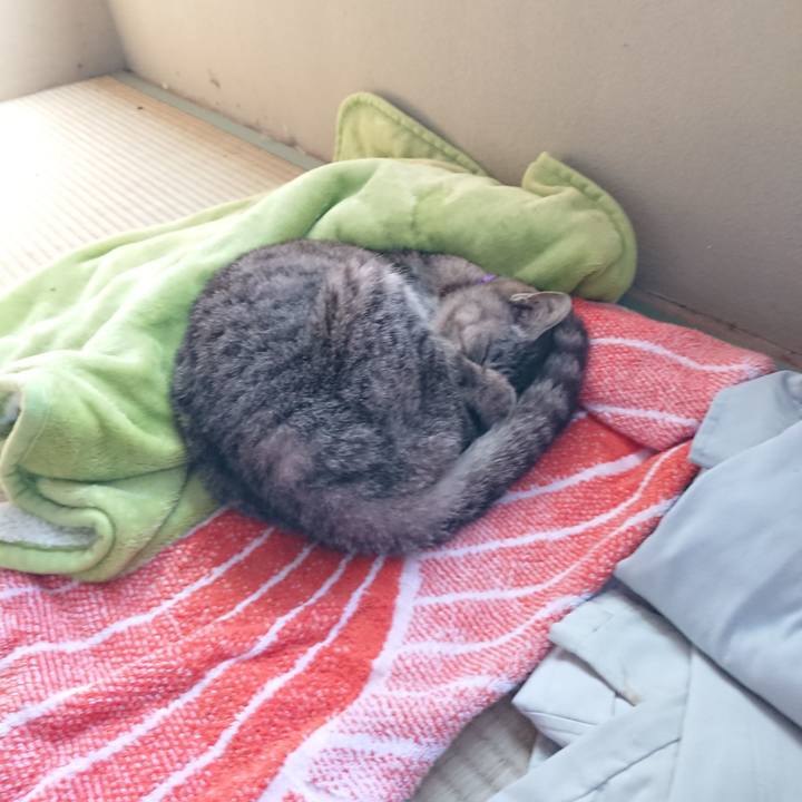 46a06f25 327c 43dd 8d4b 4482dff9e72f 1592697930843