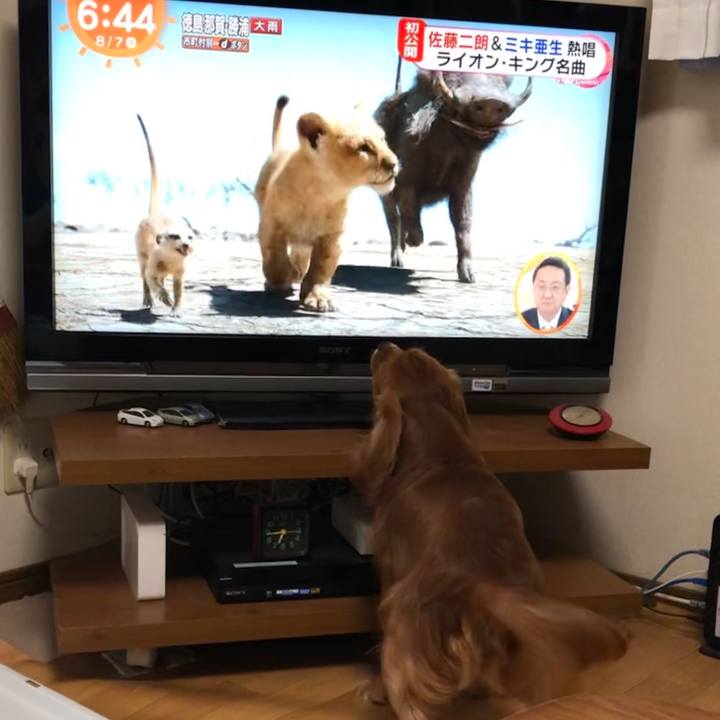 46a0b670 7676 4a01 a4e5 f2582c2815d0 1565130206024