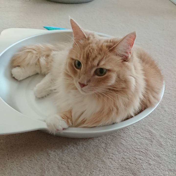 46a0c52b 8355 41b3 8c2b 941c75c123f4 1532922689261