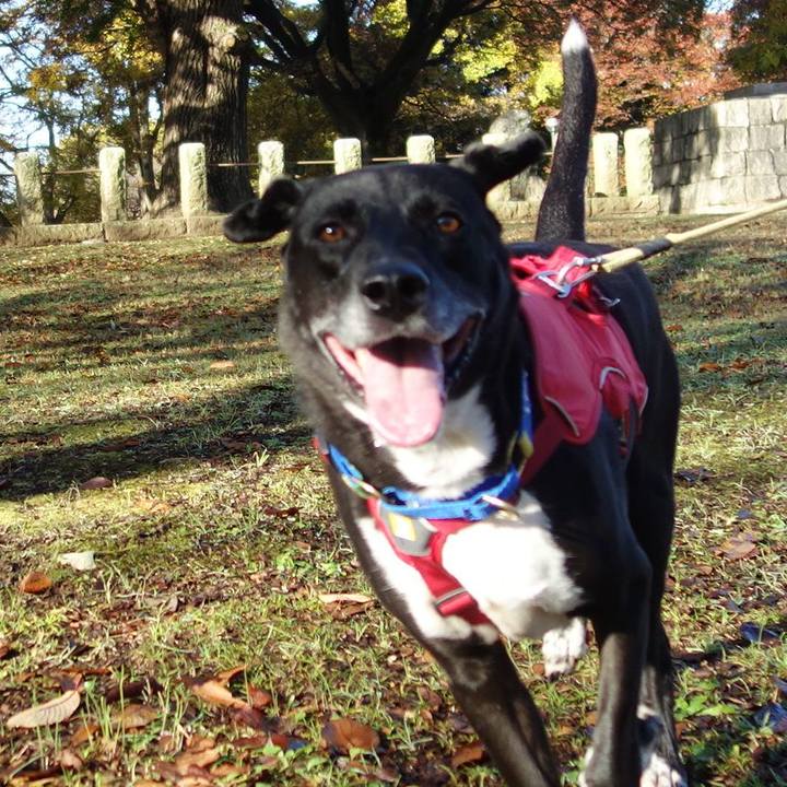 46a0c957 485b 450f b913 21f96fb1dd6c 1669080782440