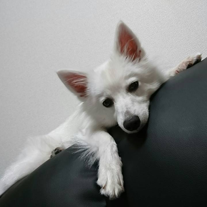 46a13615 2aea 4ca0 b3fc 07a596775a65 1507914949230