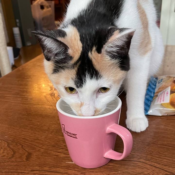 46a18279 07fe 4e7e 9196 dc58042fa296 1670714792736