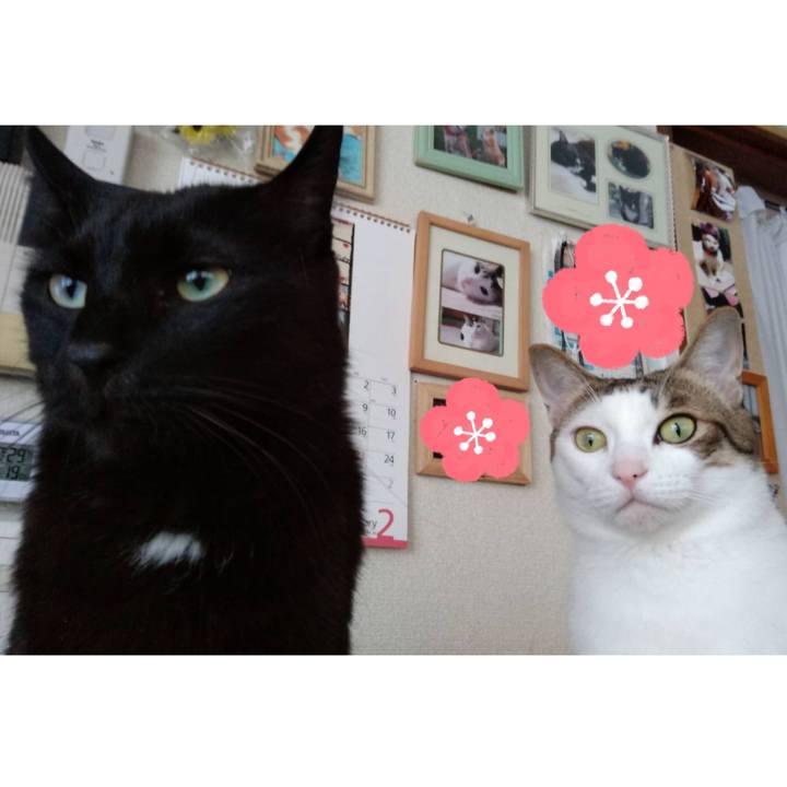 46a1b10f c9a7 4569 80d0 9f2d95ce8933 1706787404918