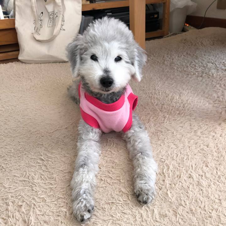 46a1b618 234c 4a9b 948c a13c7e324cf5 1707876090989