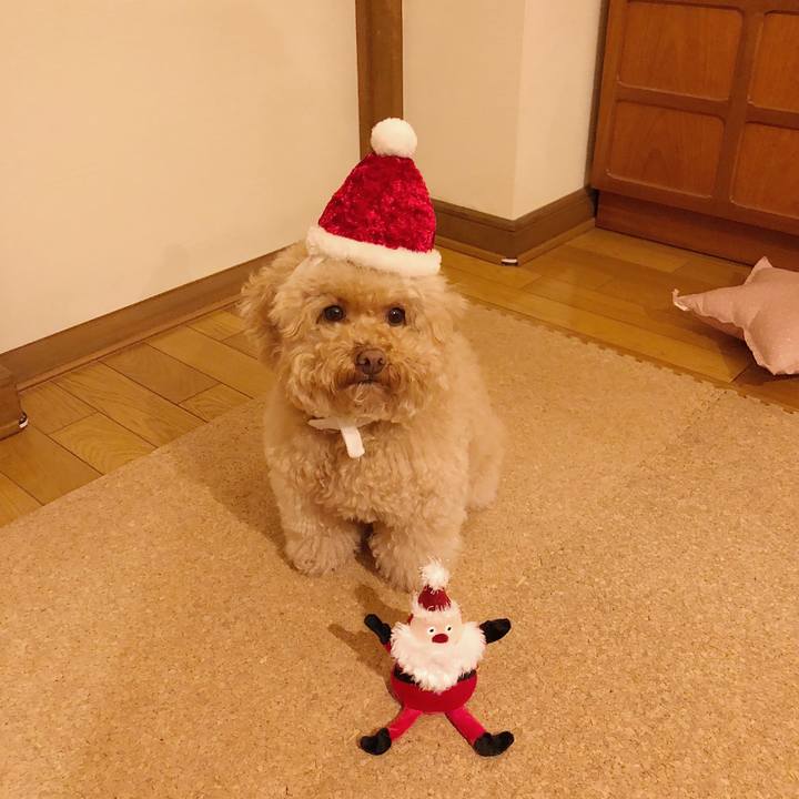 46a1caa4 d921 44e9 9344 3c32616f987a 1513418467933