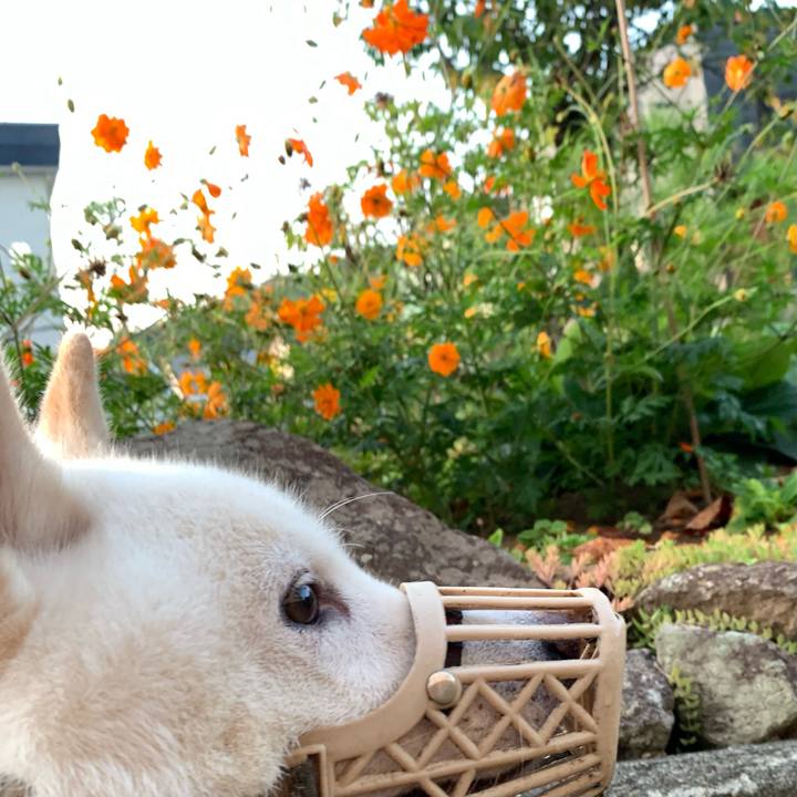 46a1d06d 9190 41bb 9f54 f387256480f4 1630875701804