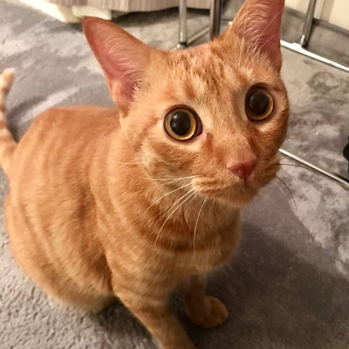 46a1d859 a1d2 4b70 81b2 7205ded31f6d 1596107137713