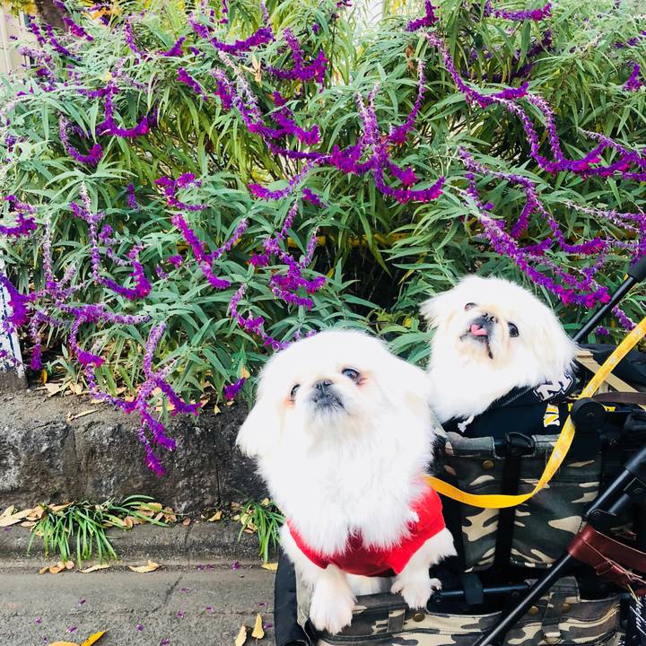 46a1df1d 86f6 40cf 9757 d7c73e2093c5 1608905048226