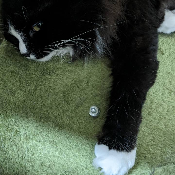 46a1e2ff 7614 4133 bf6d b5650881722f 1686620833689