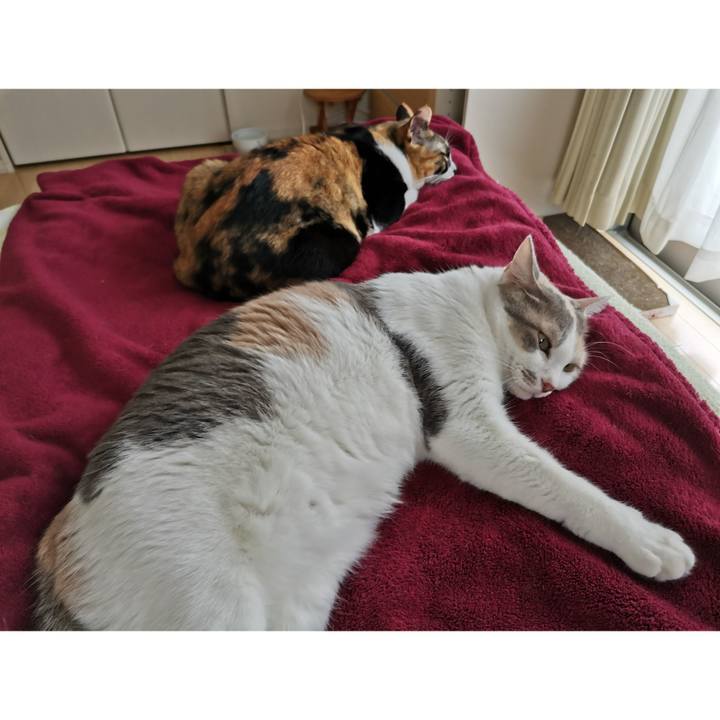 46a2193b 0350 4c23 be2e b8c7ca7ce764 1663821929188