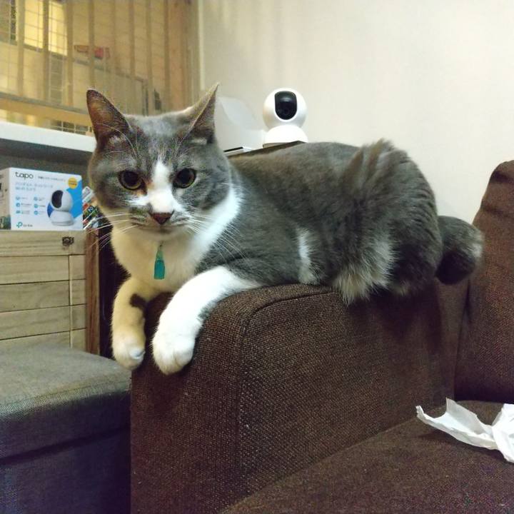 46a24575 ff1d 473e a6fd 8ada36379e0e 1641473901329