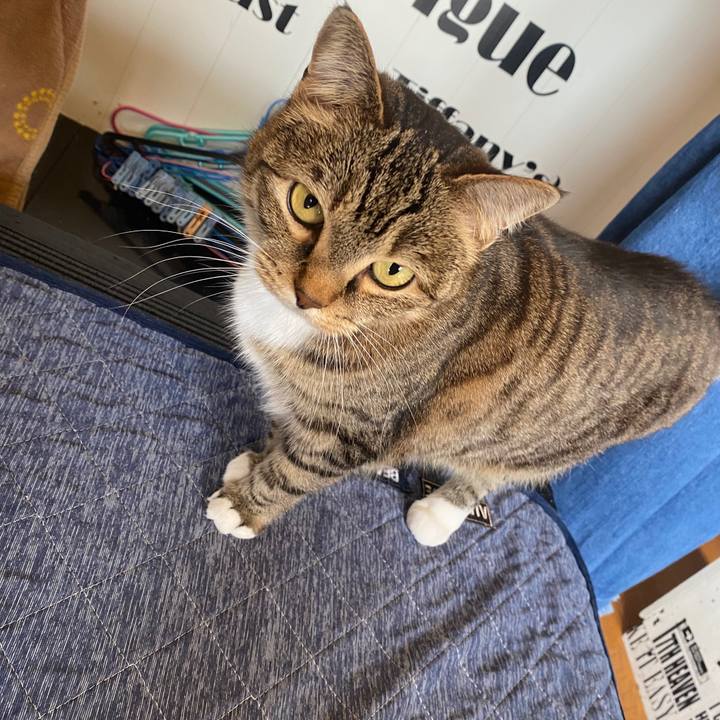 46a26383 4a66 4dd6 866e 714ea5e1df9c 1584919294298