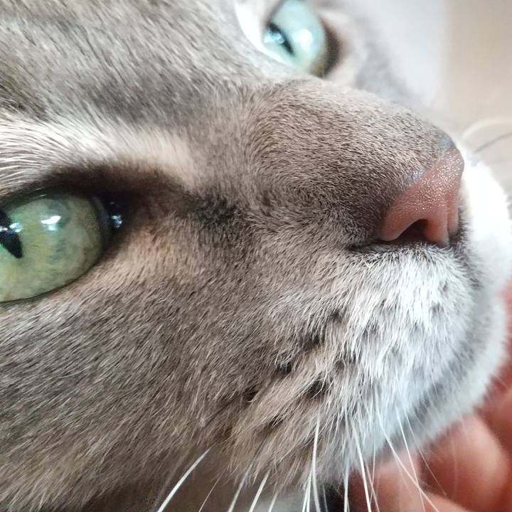 46a27107 cb63 4e4e 8ff6 0bdfa5b6f7af 1607303377365