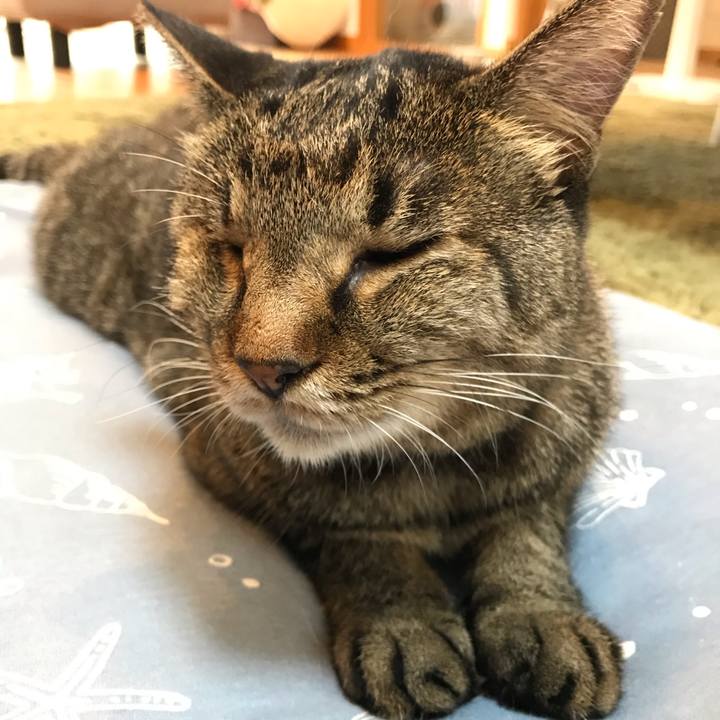 46a2755b a67d 447b 9e9c 1af972bb46b7 1568328396576